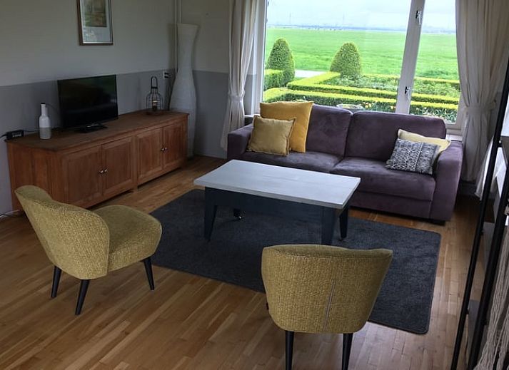 Weidende Kuehe auf der Wiese in der Naehe des Ferienhauses in Nes, Friesland, umgeben von gruener Landschaft.