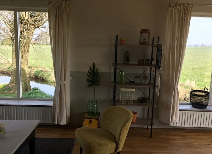 Weidende Kuehe auf der Wiese in der Naehe des Ferienhauses in Nes, Friesland, umgeben von gruener Landschaft.