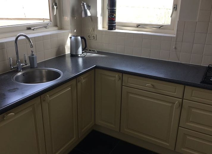 Weidende Kuehe auf der Wiese in der Naehe des Ferienhauses in Nes, Friesland, umgeben von gruener Landschaft.