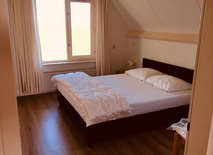 Weidende Kuehe auf der Wiese in der Naehe des Ferienhauses in Nes, Friesland, umgeben von gruener Landschaft.