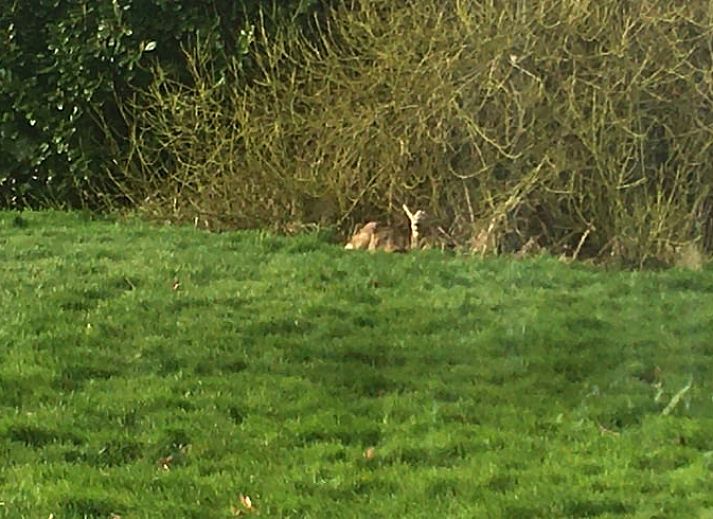 Gemuetliche Sitzecke im Ferienhaus in Nes, Friesland, mit Blick auf die friesische Landschaft.