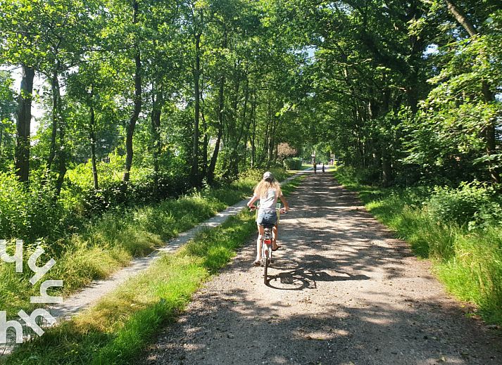 Unterkunft 266903 - Ferienhaus Het Friese platteland - FR115