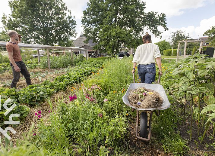 Unterkunft 266903 - Ferienhaus Het Friese platteland - FR115