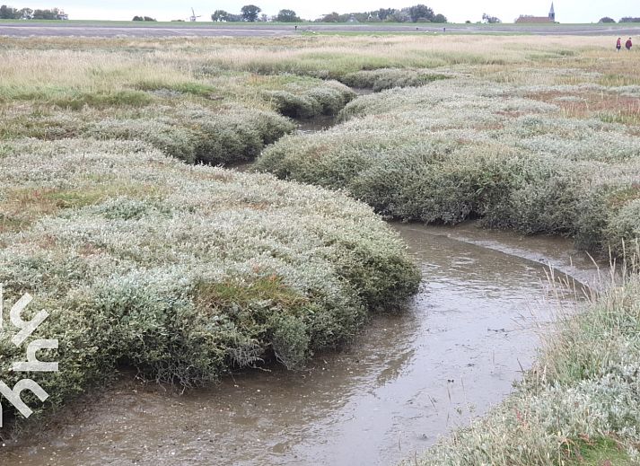 Unterkunft 266903 - Ferienhaus Het Friese platteland - FR115