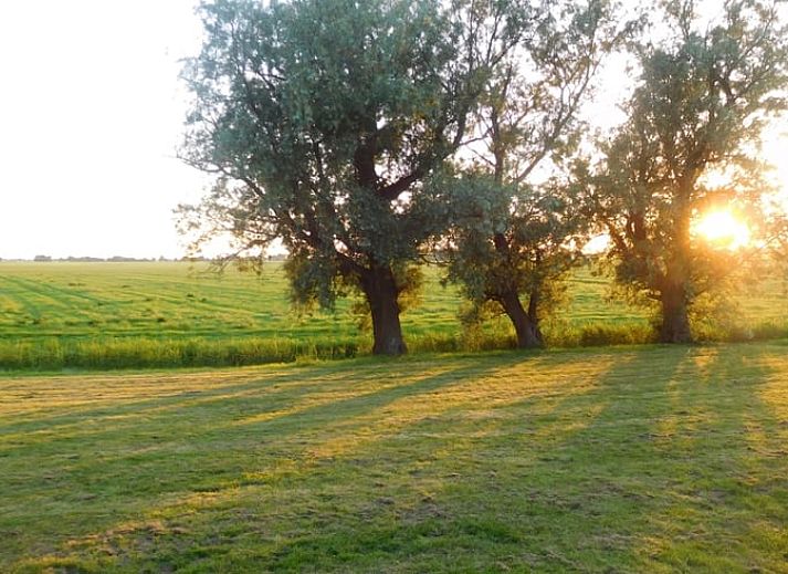 Guest house 267012 - Holiday property Het Friese platteland - Vakantiehuisje in Jannum