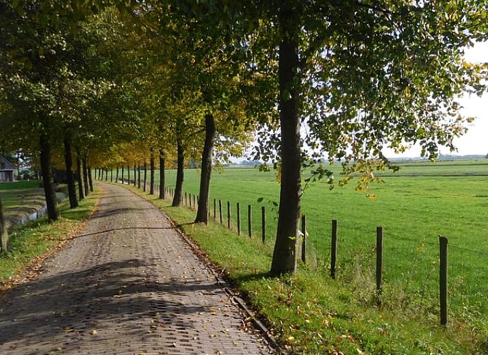 Guest house 267015 - Holiday property Het Friese platteland - Huisje in Jannum