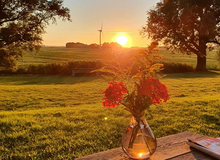 Guest house 267015 - Holiday property Het Friese platteland - Huisje in Jannum