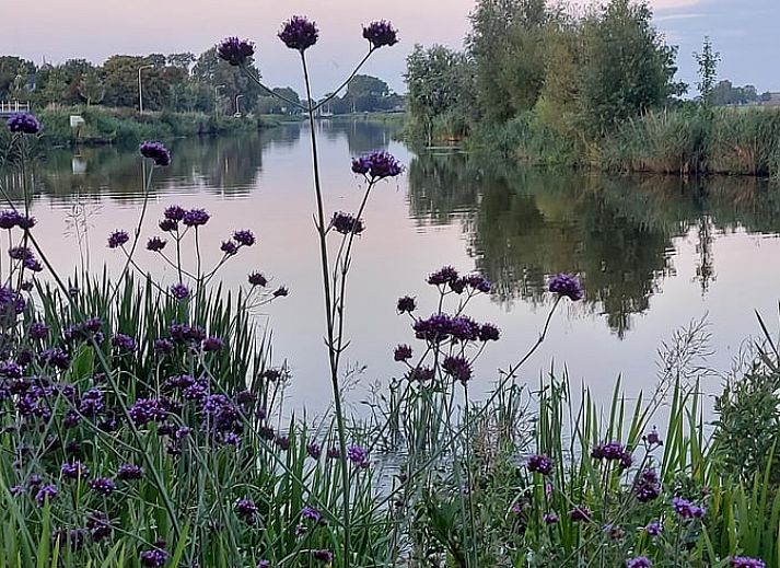 Comfortable sitting area in Cottage in Jannum near Dokkum, Friesland, ideal for relaxation.
