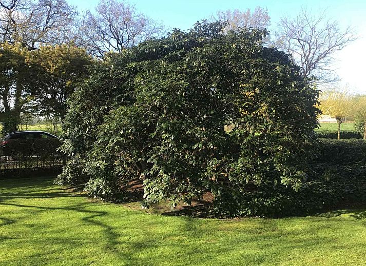 Slaapkamer van FR400 vakantiehuis in Zandhuizen, Friesland met comfortabel tweepersoonsbed.
