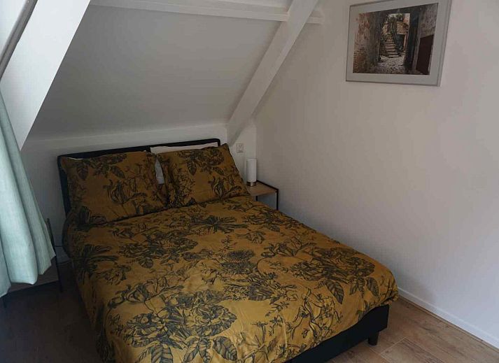 Prachtige paarden in de omgeving van vakantiehuis FR400 op het Friese platteland.