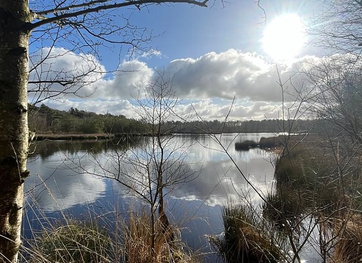 Guest house 268205 - Holiday property Het Friese platteland - Huisje in Zandhuizen