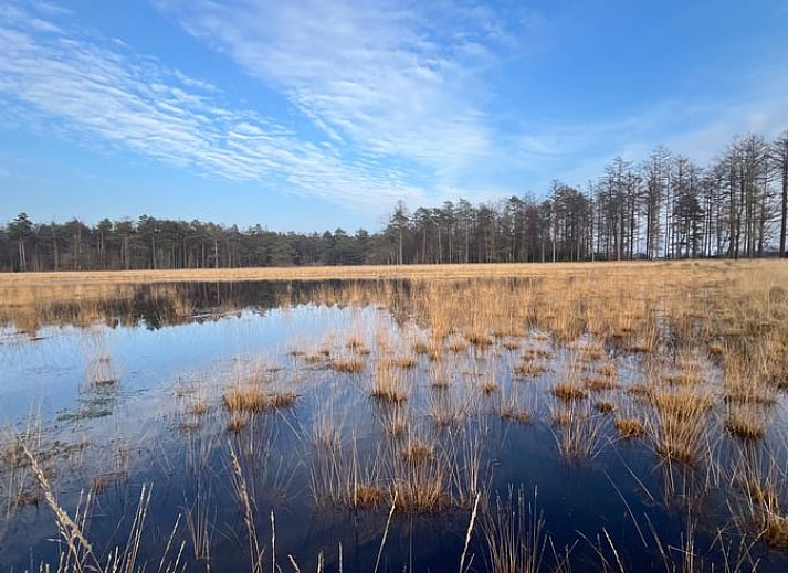 Guest house 268205 - Holiday property Het Friese platteland - Huisje in Zandhuizen