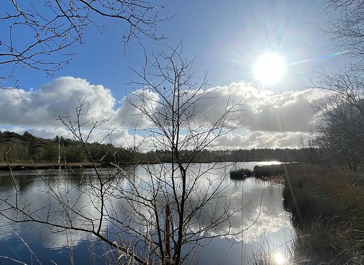 Guest house 268205 - Holiday property Het Friese platteland - Huisje in Zandhuizen