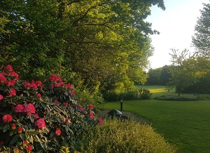 Gezellige binnenruimte van Vakantiehuis in Fochteloo, Friesland, met uitzicht op het verlichte zwembad.