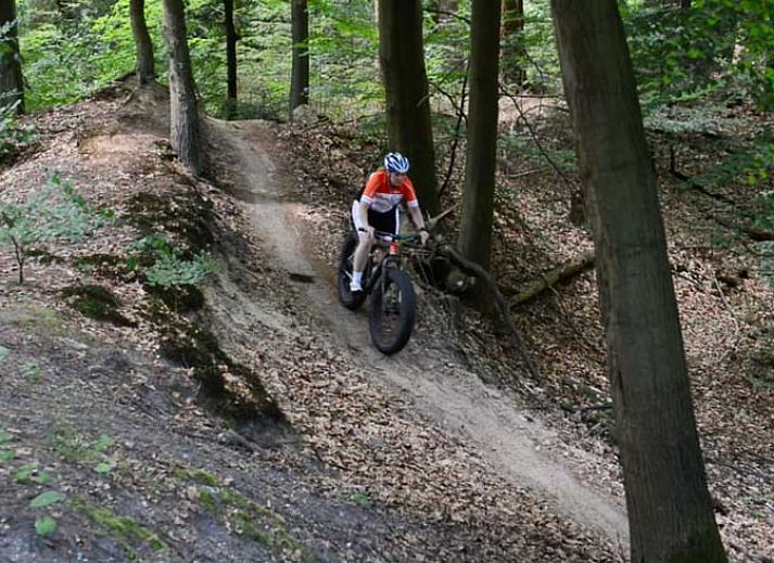 Zonnig terras met zwembad bij Vakantiehuis in Fochteloo, gelegen op het prachtige Friese platteland.