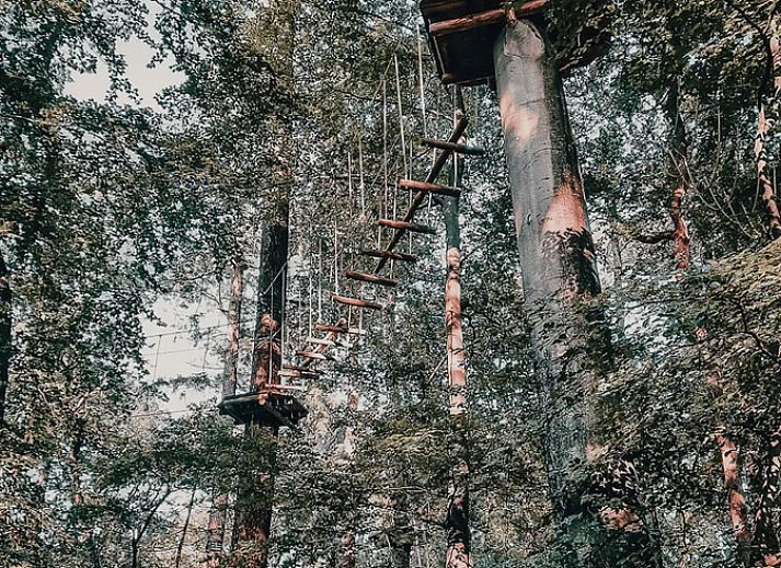 Zonnig terras met zwembad bij Vakantiehuis in Fochteloo, gelegen op het prachtige Friese platteland.