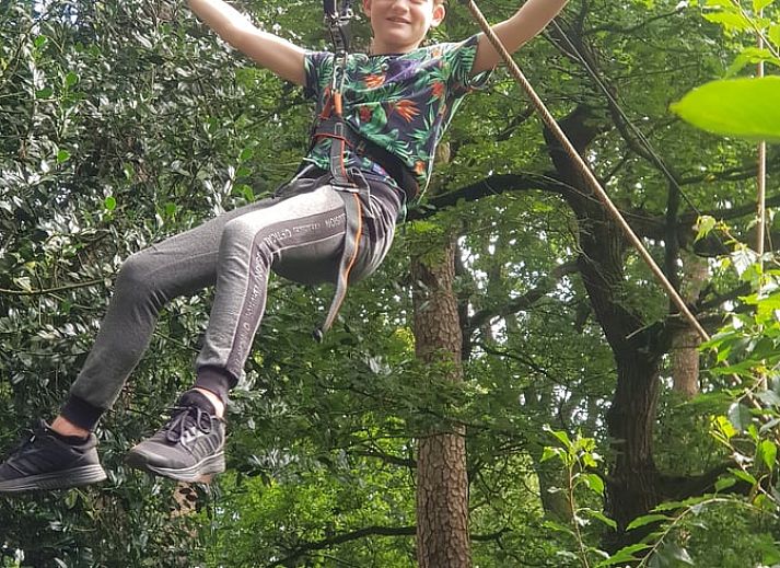 Zonnig terras met zwembad bij Vakantiehuis in Fochteloo, gelegen op het prachtige Friese platteland.