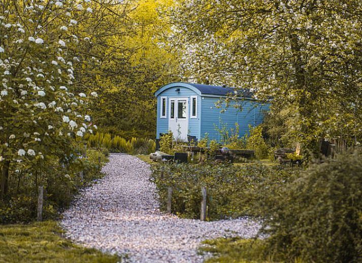 Verblijf 268501 • Vakantiewoning Het Friese platteland • Haulervaart