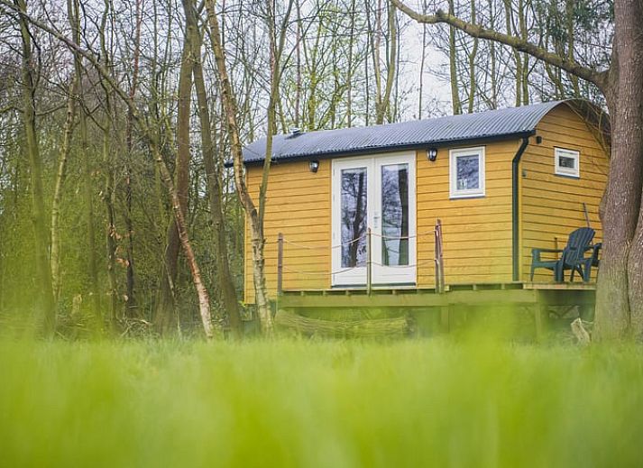Unterkunft 268502 • Ferienhaus Het Friese platteland • Vakantiehuisje in Waskemeer
