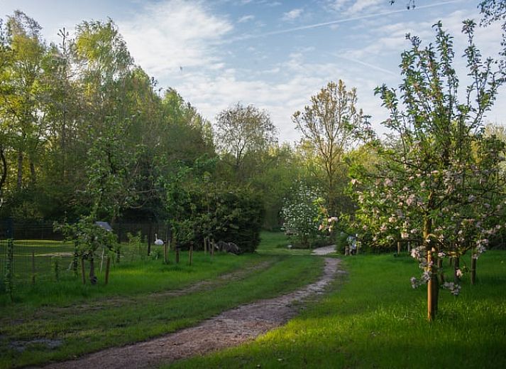 Gemuetliche Einrichtung des Ferienhauses in Waskemeer, Friesland, mit Holzinterieur und Blick auf die friesische Landschaft.