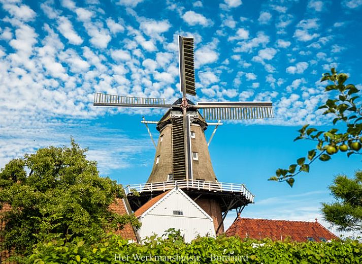Guest house 268803 - Holiday property Het Friese platteland - Vakantiehuis in Burdaard