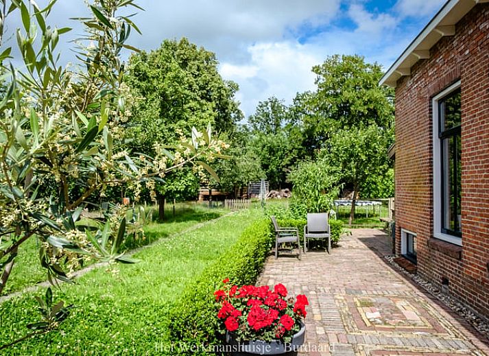 Guest house 268803 - Holiday property Het Friese platteland - Vakantiehuis in Burdaard