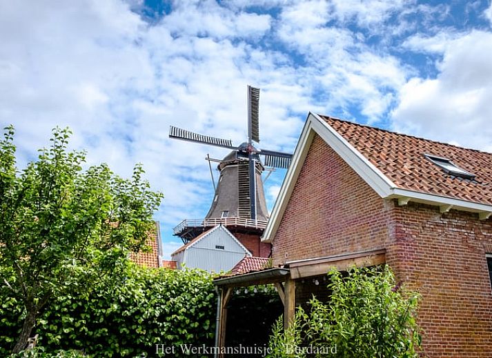 Guest house 268803 - Holiday property Het Friese platteland - Vakantiehuis in Burdaard