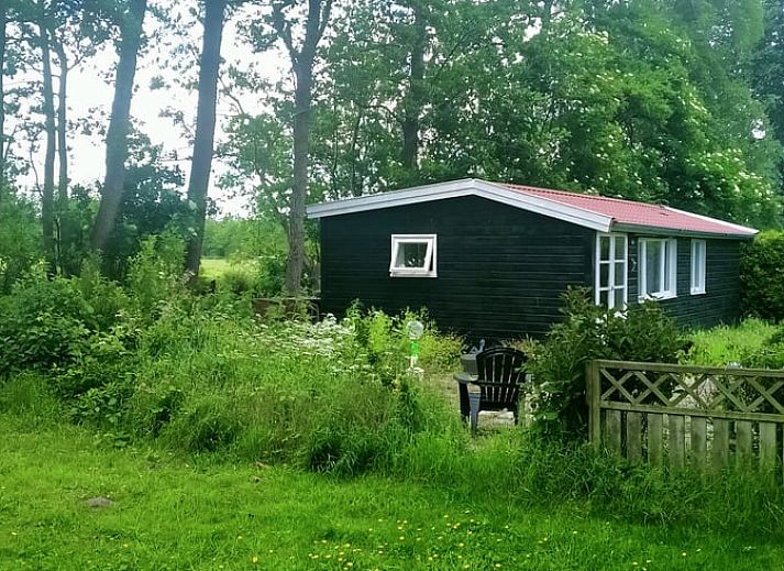 Verblijf 268912 • Vakantiewoning Het Friese platteland • Vakantiehuis in Kollumerzwaag