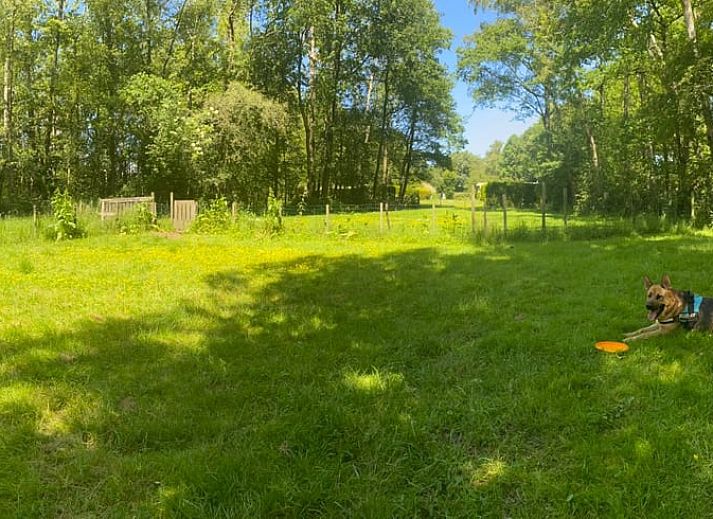 Guest house 268915 - Holiday property Het Friese platteland - Huisje in Kollumerzwaag