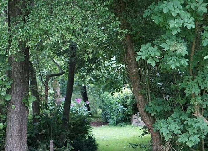 Guest house 268915 - Holiday property Het Friese platteland - Huisje in Kollumerzwaag