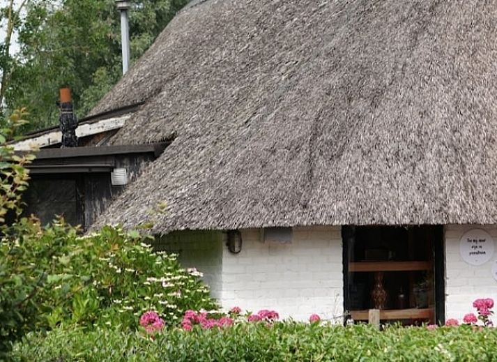 Guest house 268915 - Holiday property Het Friese platteland - Huisje in Kollumerzwaag
