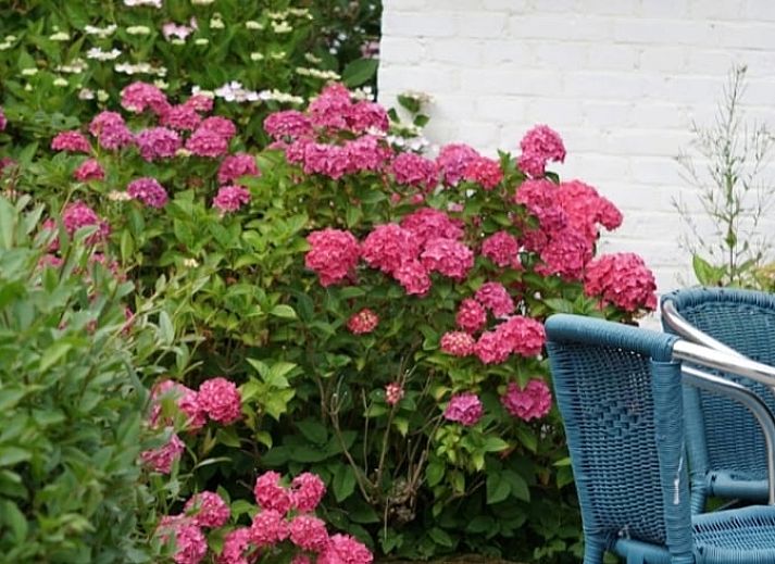 Guest house 268915 - Holiday property Het Friese platteland - Huisje in Kollumerzwaag