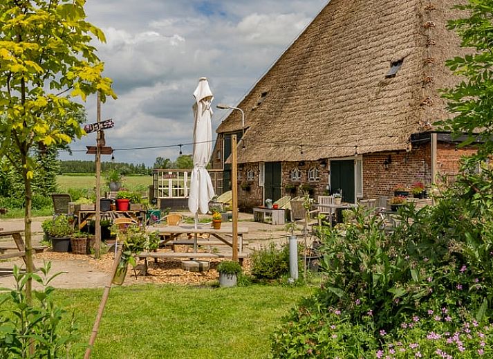 Guest house 269202 • Holiday property Het Friese platteland • Huisje in Stiens