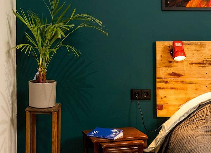 Unterkunft 269202 - Ferienhaus Het Friese platteland - Huisje in Stiens