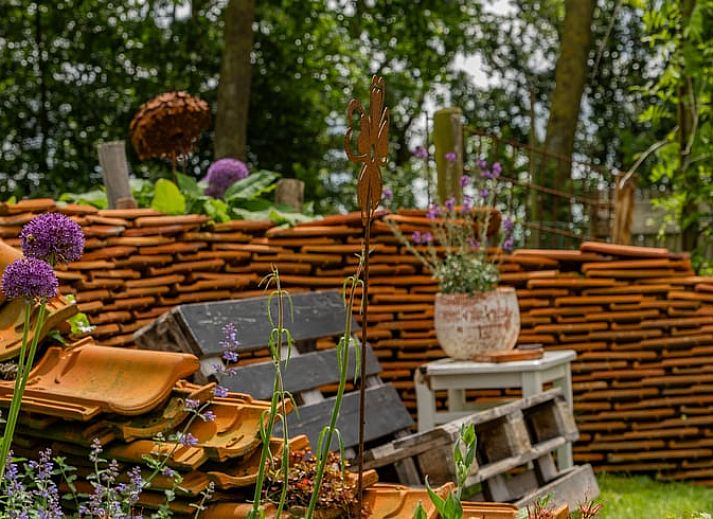 Unterkunft 269202 - Ferienhaus Het Friese platteland - Huisje in Stiens