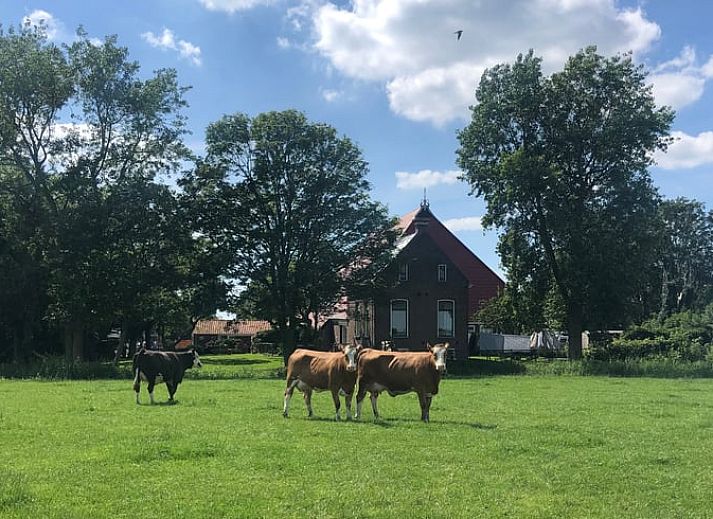 Unterkunft 269205 - Ferienhaus Het Friese platteland - Vakantiehuisje in Stiens