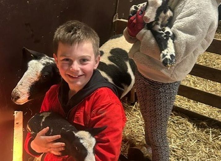 Unterkunft 269205 - Ferienhaus Het Friese platteland - Vakantiehuisje in Stiens