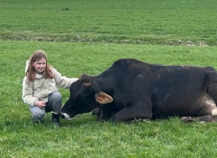 Guest house 269206 - Holiday property Het Friese platteland - Huisje in Stiens