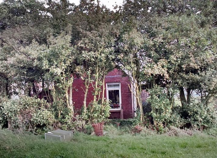 Verblijf 269604 - Vakantiewoning Het Friese platteland - Vakantiehuisje in Wyns