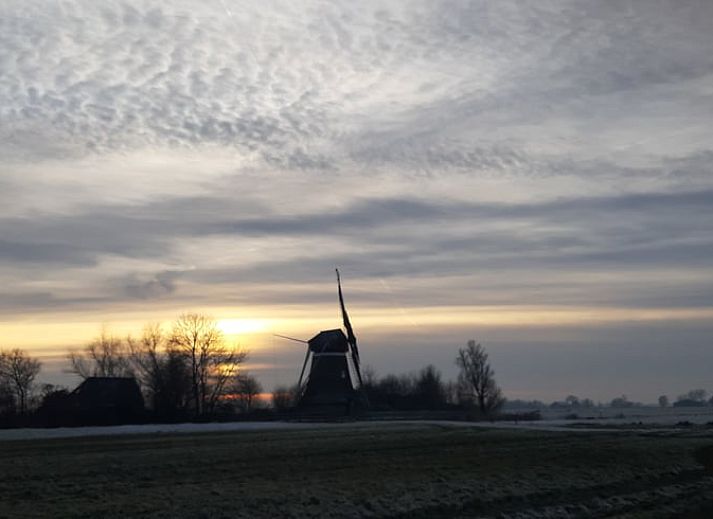 Verblijf 269604 - Vakantiewoning Het Friese platteland - Vakantiehuisje in Wyns