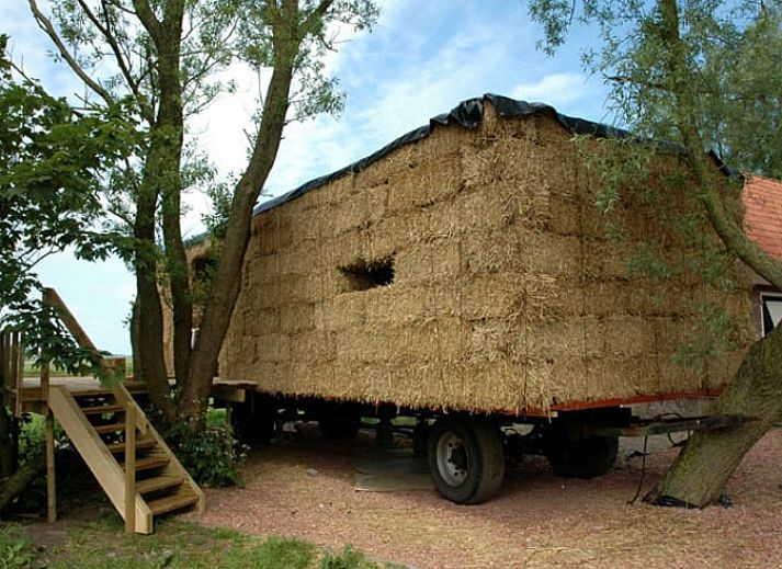 Unterkunft 269605 - Ferienhaus Het Friese platteland - Vakantiehuis in Wyns