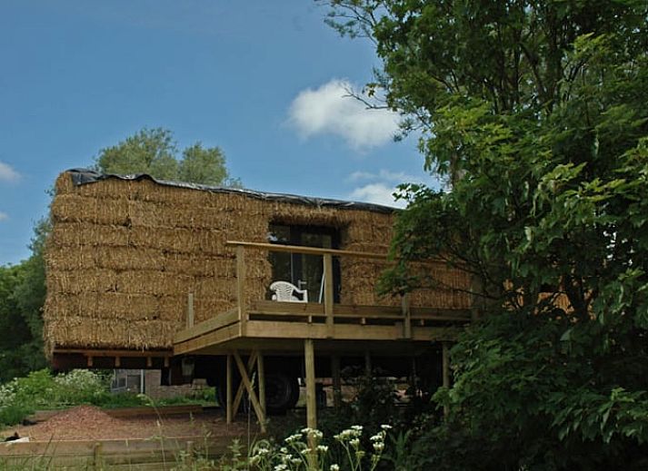 Unterkunft 269605 - Ferienhaus Het Friese platteland - Vakantiehuis in Wyns