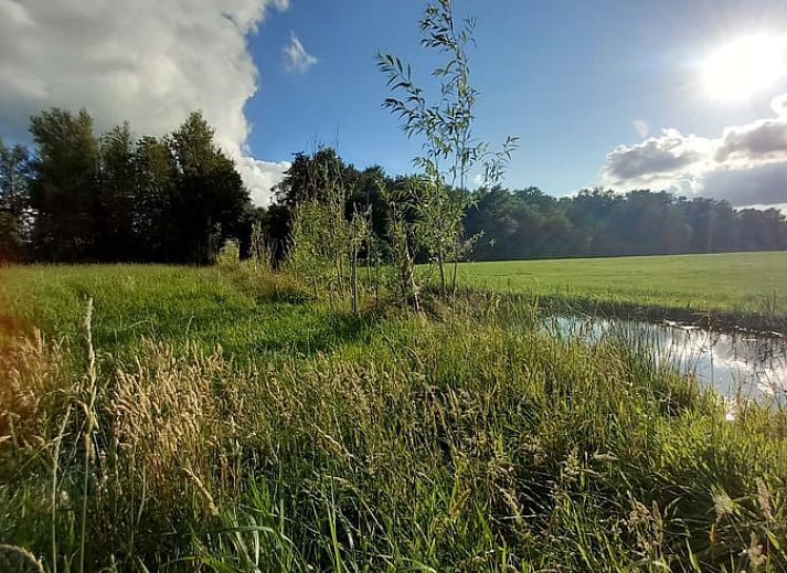 Stijlvolle binnenruimte van Vakantiehuisje in Tijnje, met comfortabele zitplek en natuurlijke decoraties.