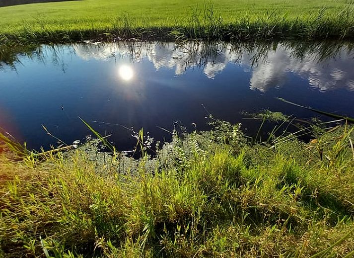 Stijlvolle binnenruimte van Vakantiehuisje in Tijnje, met comfortabele zitplek en natuurlijke decoraties.
