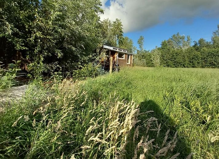 Sfeervolle slaapkamer van Vakantiehuisje in Tijnje, met knusse inrichting en uitzicht op het Friese platteland.