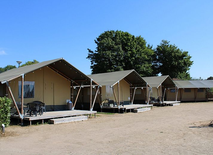 Veranda of Safari tent | 6 people in Lathum, Gelderland with comfortable chairs and table.
