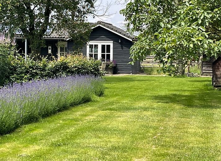 Guest house 280807 • Holiday property Rivierengebied • Vakantiehuis in Ophemert
