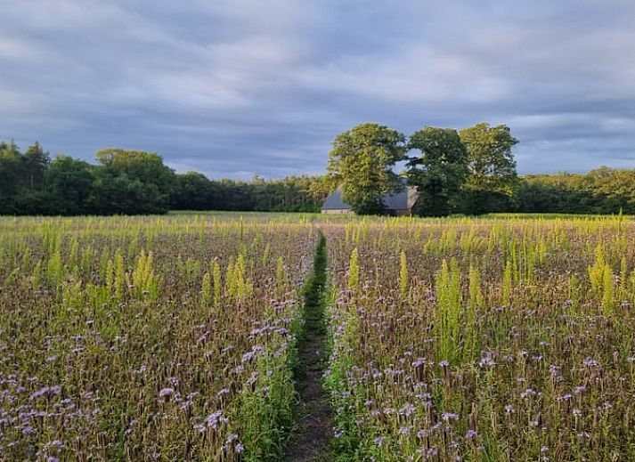 Unterkunft 280902 - Ferienhaus Rivierengebied - Vakantiehuisje in Arnhem