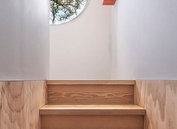 Nebelverhangenes Ferienhaus in Arnheim, gelegen im Rivierengebied, Gelderland.