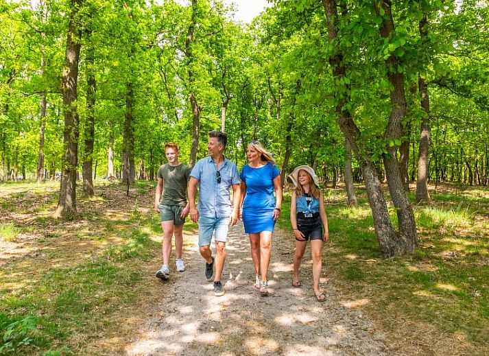 Unterkunft 2809104 - Ferienhaus Rivierengebied - Vakantiehuis Tiny House 4